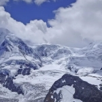 mysql随机取10条数据以及优化查询速度